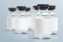 New CDC Regulations Aimed at Preventing Rabies in Imported Dogs (copy) (copy)