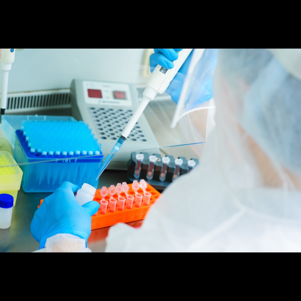 Human Bone Marrow cDNA ''primed with oligo dT primers''   30 reactions ''30 PCR amplifications''