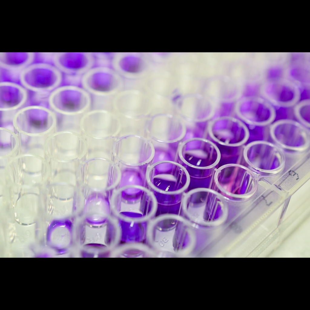 E. coli HCP ELISA Assay   96 Wells