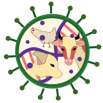 Understanding Viral Diseases in Domestic Animals
